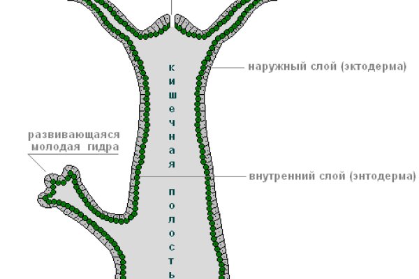 Зарегистрироваться на сайте кракен