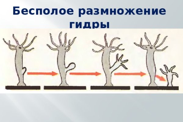 Кракен зеркало рабочее на сегодня