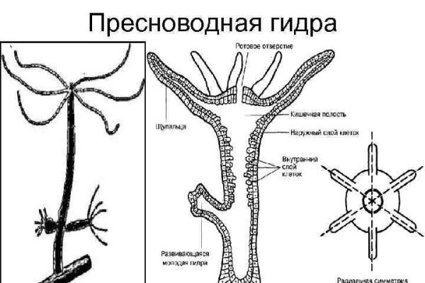 Кракен марке