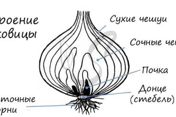 Как найти настоящую кракен даркнет ссылку